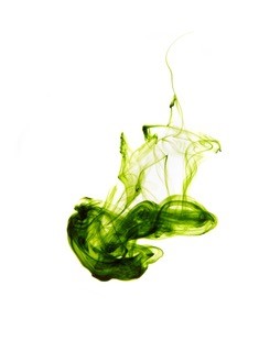 Chlorofyl drops – groene kracht in een druppel
